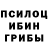 Псилоцибиновые грибы мицелий durila