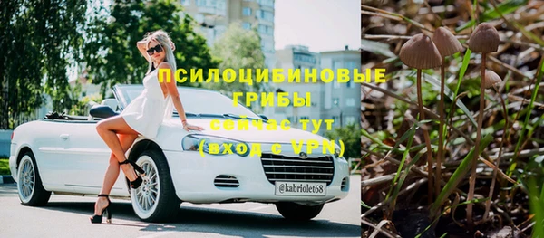 винт Алексин