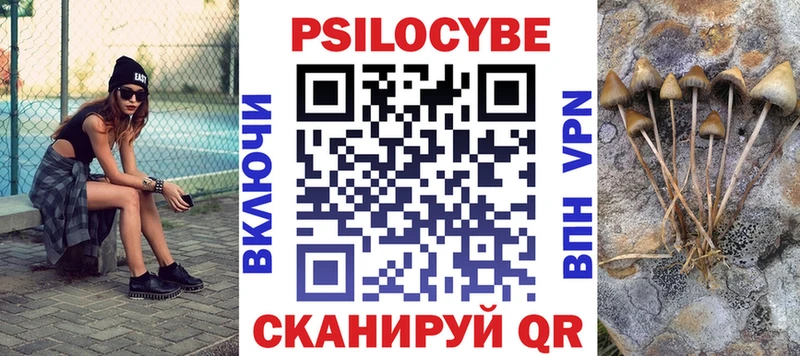 Галлюциногенные грибы Psilocybe  сколько стоит  Олонец 