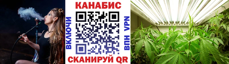 Конопля сатива  где купить наркоту  blacksprut зеркало  Олонец 